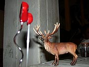 Da hpft der Hirsch und rhrt das Herz, dass es eine Freude ist (Premieren-Geschnkli)