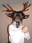 Unser Kostm-Hirsch, hh.. Hirsch-Kostm