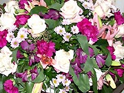 Blumen für (fast) alle